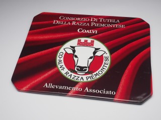 TARGA COALVI_5240045